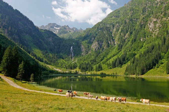 Steirischer Bodensee - gratis Maut mit der Sommercard